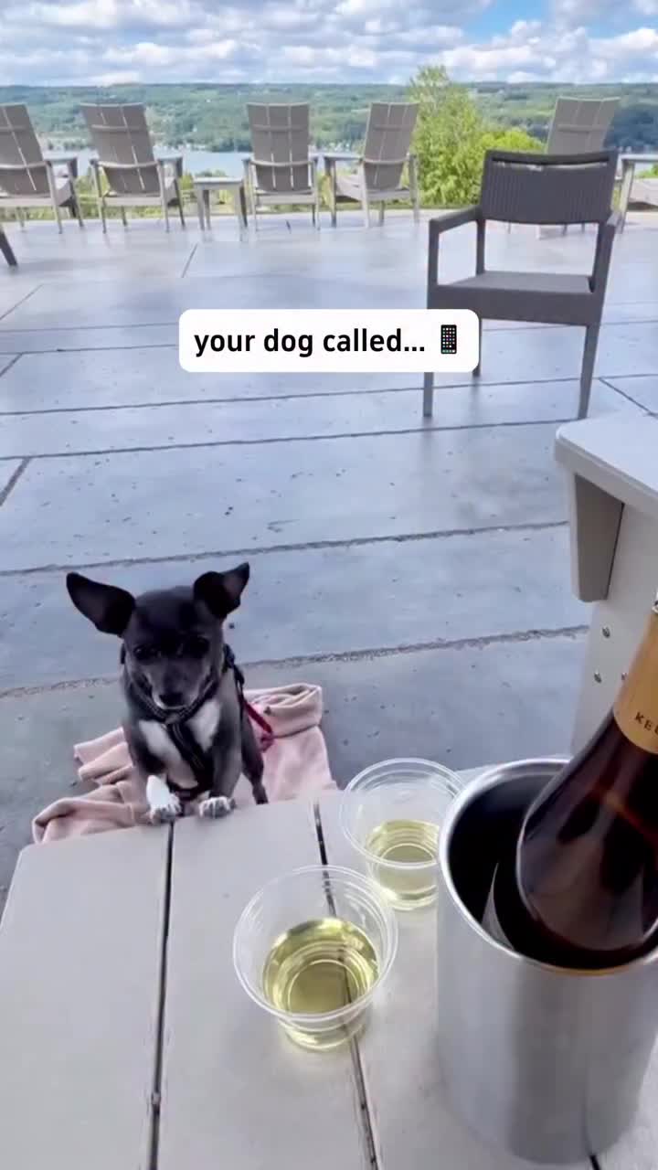 Video post from keukalakewinetrail.