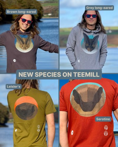 Photo post from batsrts.