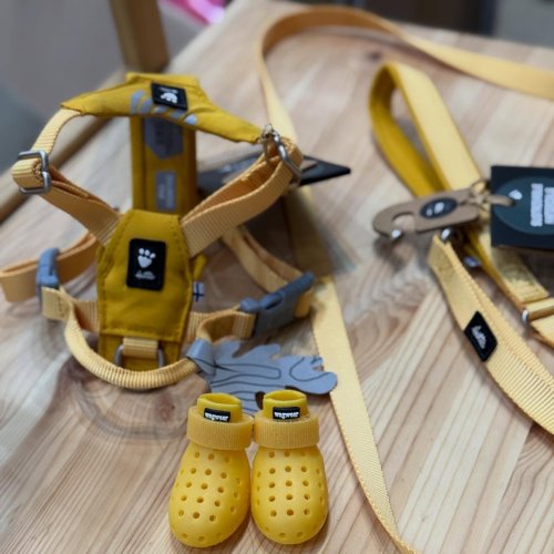 Photo post from mangosangjum.