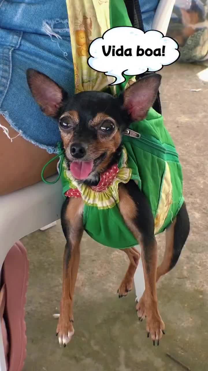 Video post from ananindeuapma.