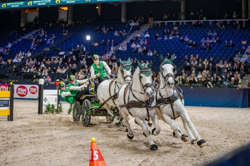 Photo post from fei_global.