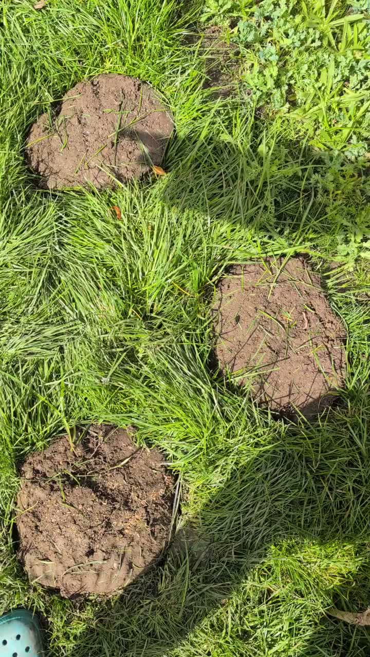 Video post from flowers_from_no.5.