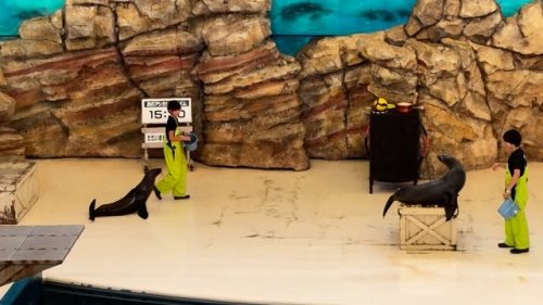 Video post from kouji_1965_123.