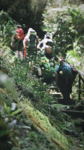 Video post from taylor.theyellowbird.