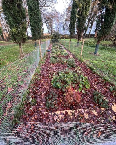 Carousel post from grow_naturally_norfolk.