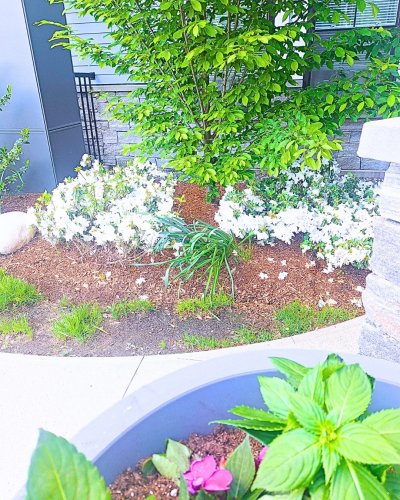 Photo post from millsideatheritagepark.