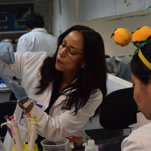 Carousel post from murci_uami.