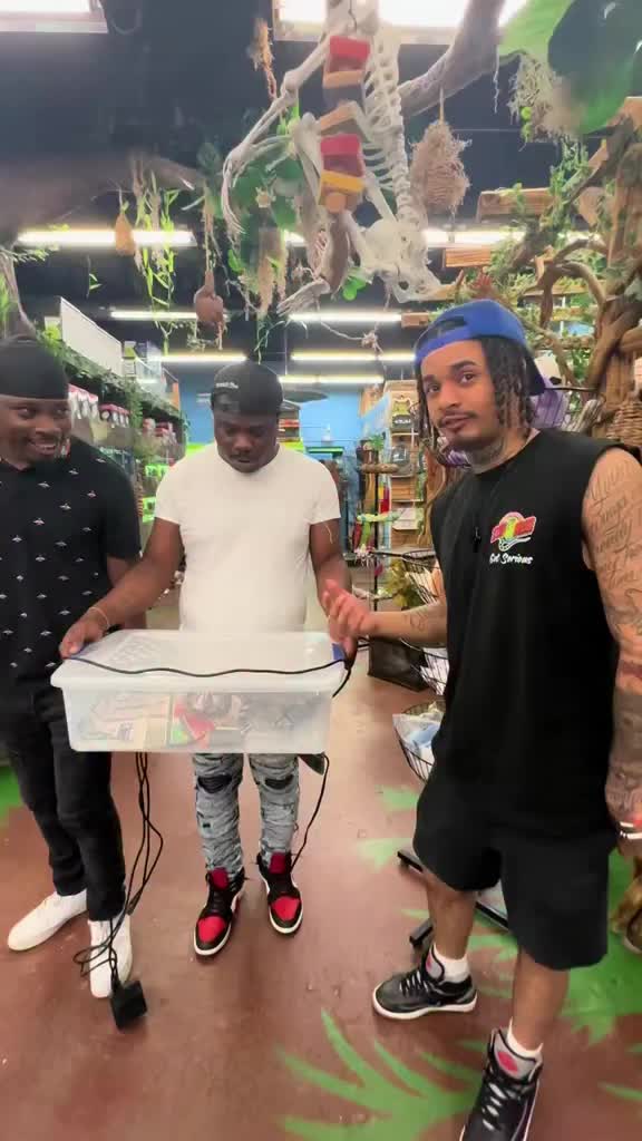 Video post from njexoticpets.