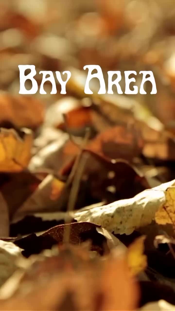 Video post from bayarea_butterflygardener.