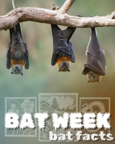 Photo post from highlandsbiostation.