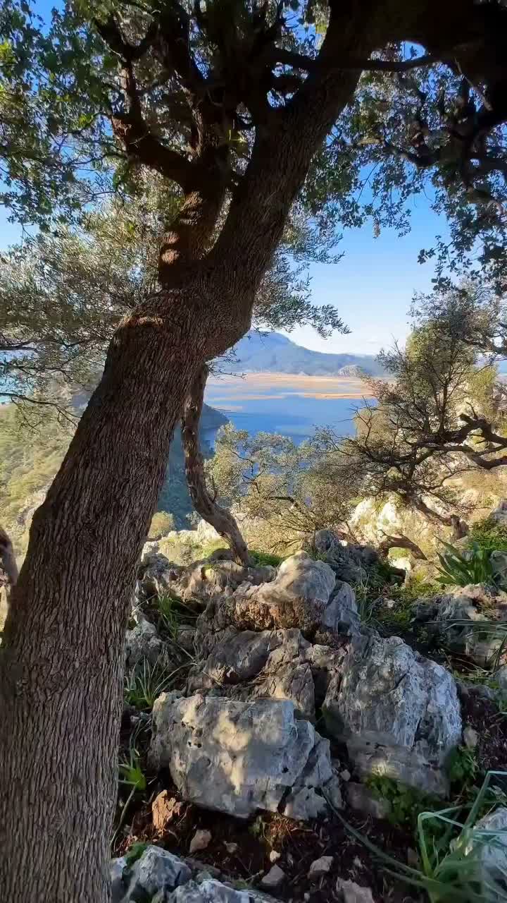 Video post from adrianaazzias.