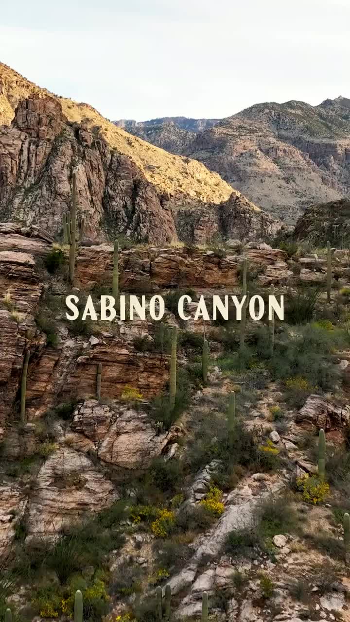 Video post from visittucson.