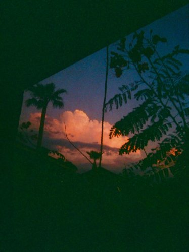 Photo post from mellow.toad.