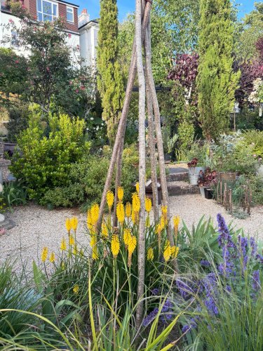 Photo post from gardenhousebrighton.