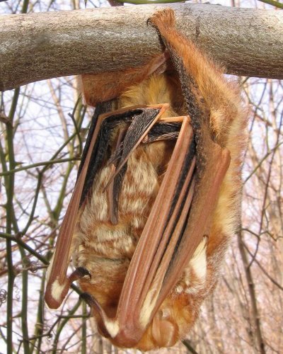 Photo post from mdseagrant.