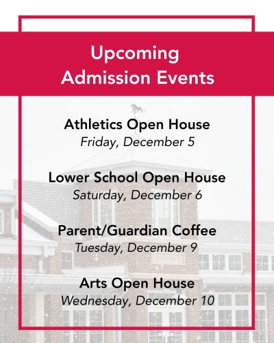 Photo post from saeslions.