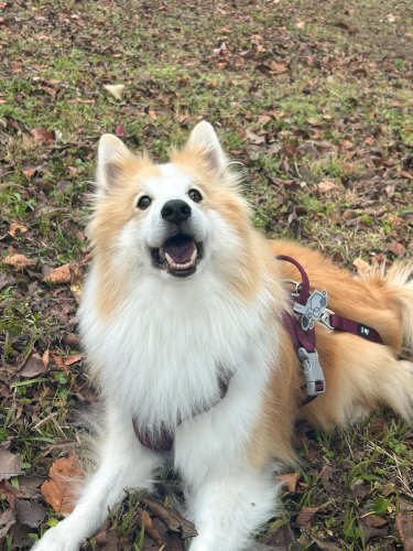 Carousel post from haeruphoria.