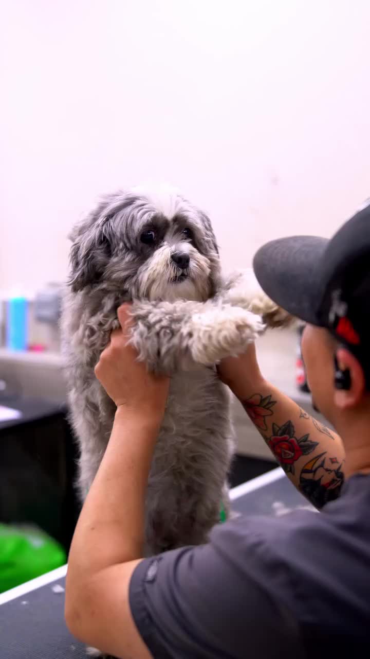 Video post from medicalpettj.