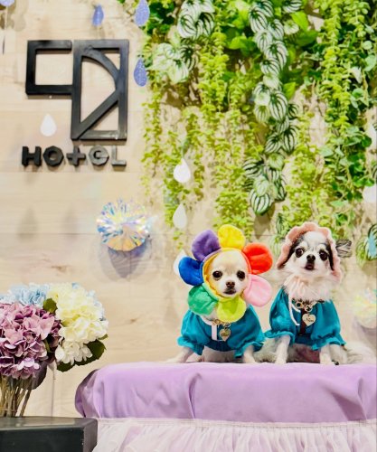 静岡市匠宿クラフトバレーにある愛犬と泊まれるホテル 1HOTEL【公式
