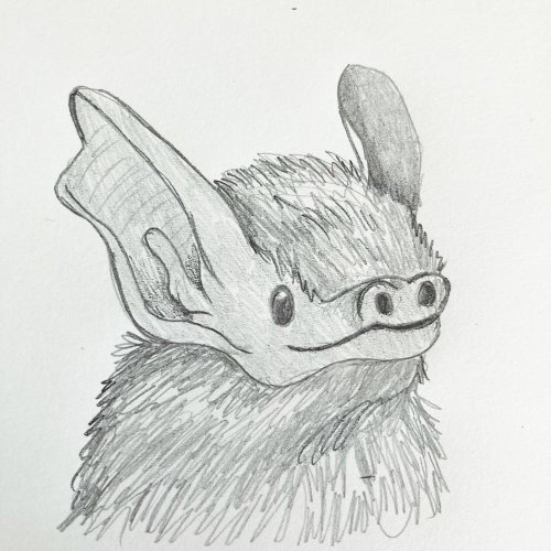 Photo post from feral_pony.