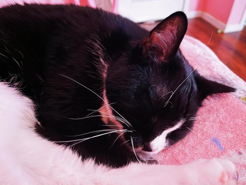 Carousel post from margaritabloom.