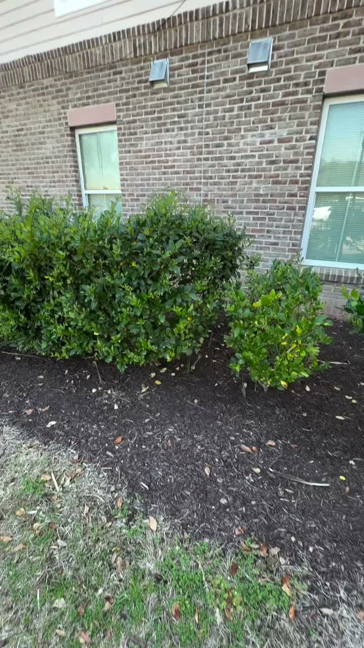 Video post from uscbstudentlife.