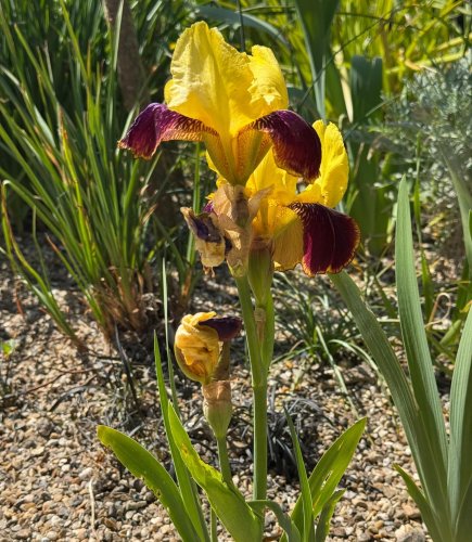 Photo post from gardenhousebrighton.