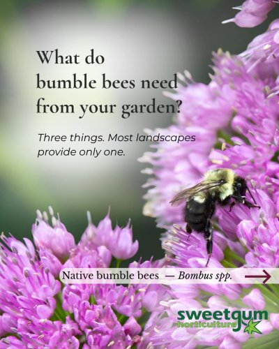 Carousel post from sweetgumhorticulture.