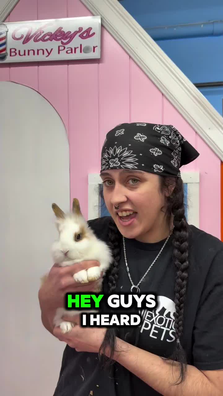 Video post from njexoticpets.