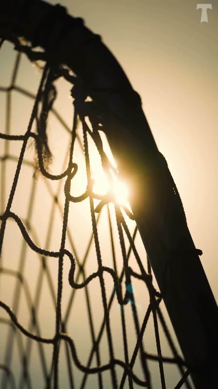 Video post from torpedolife.