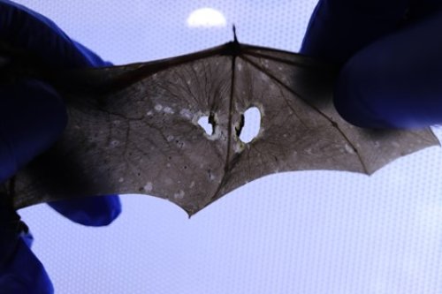 Carousel post from thewdfw.