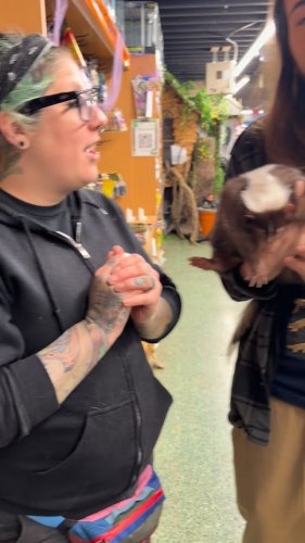 Video post from njexoticpets.