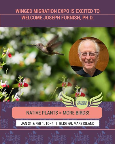 Photo post from wingedmigrationexpo.