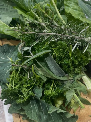 Carousel post from myallotmentatnewport.