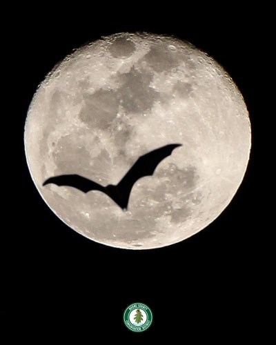 Photo post from boonecoconservationdistrict.