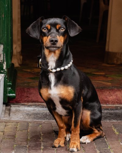 Photo post from hoestailors.