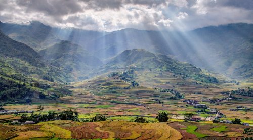 Photo post from rpslandscape.