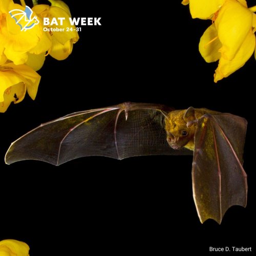 Photo post from filbergheritagelodgeandpark.