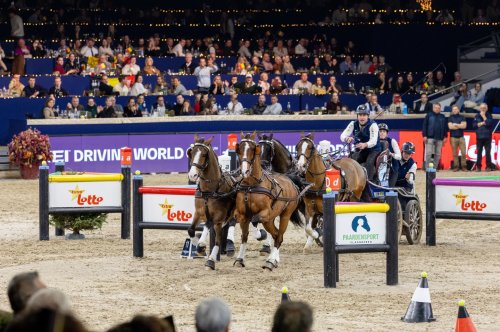 Carousel post from fei_global.