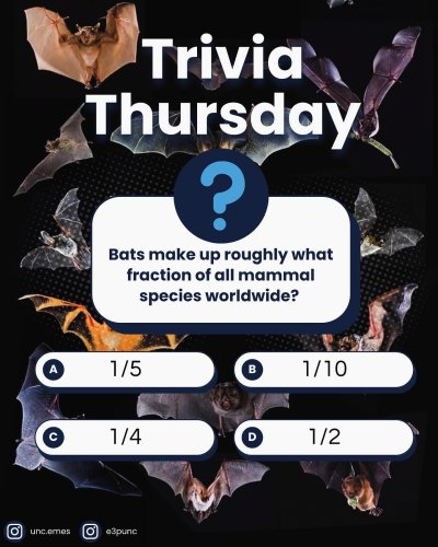 Photo post from e3punc.