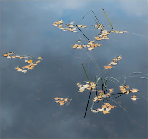 Photo post from rpslandscape.