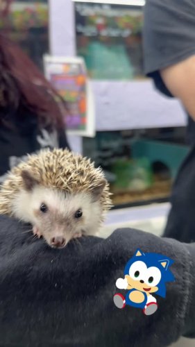 Video post from njexoticpets.