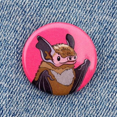 Photo post from feral_pony.