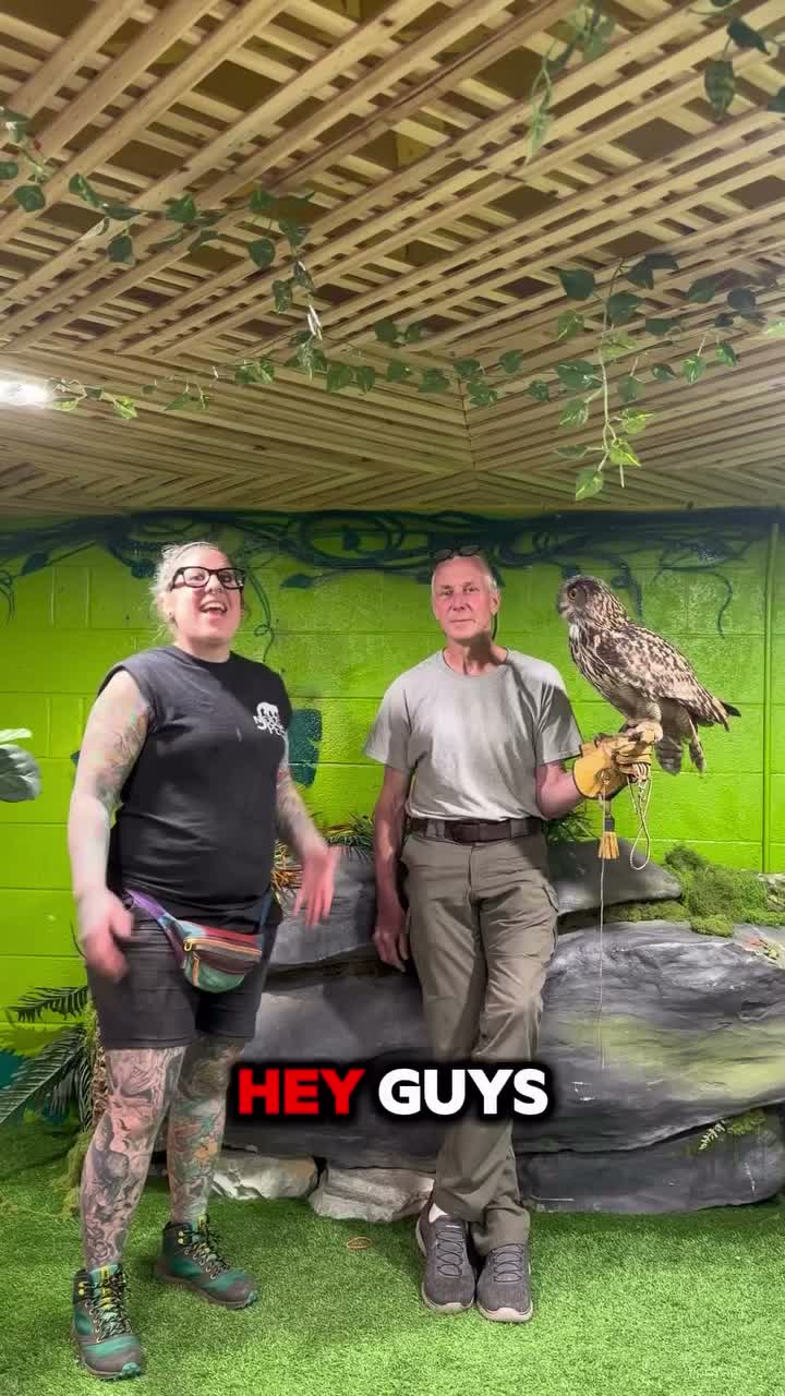 Video post from njexoticpets.