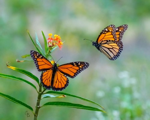 Photo post from texas_pixels.