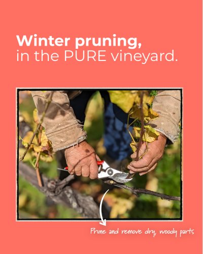 Photo post from purethewinery.