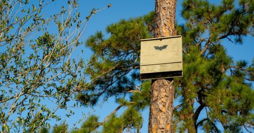 Carousel post from sfwmd_gov.