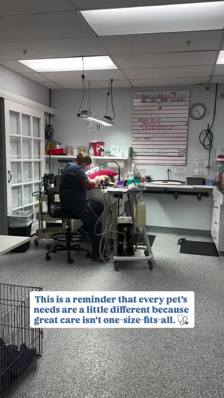 Video post from familyanimalhospitalcm.