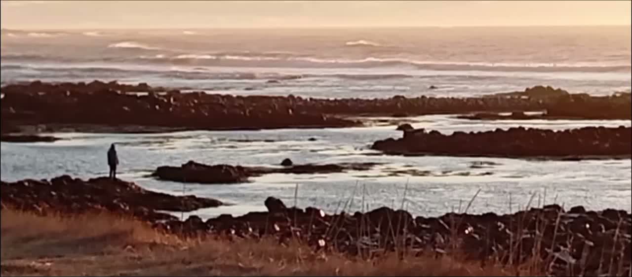 Video post from _.sickman._.
