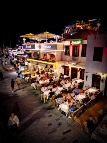 Video post from jandewit.4848.